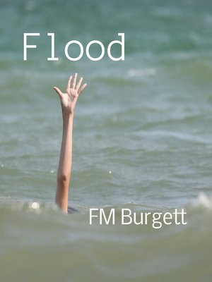 cover image of Flood